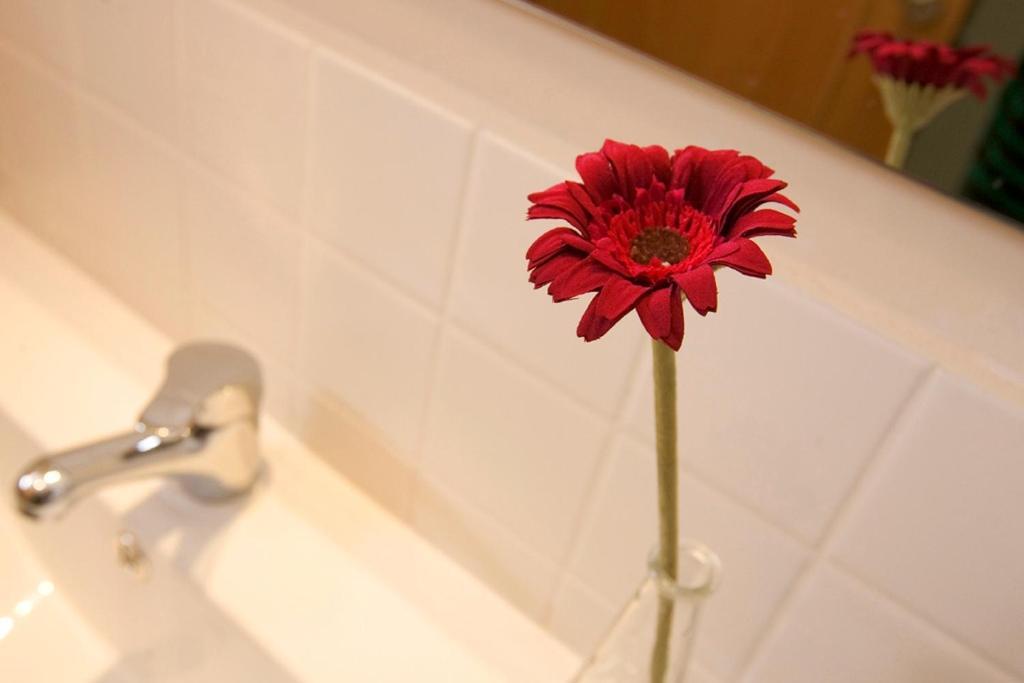 Apartaments Rural Montseny Gualba de Dalt Esterno foto
