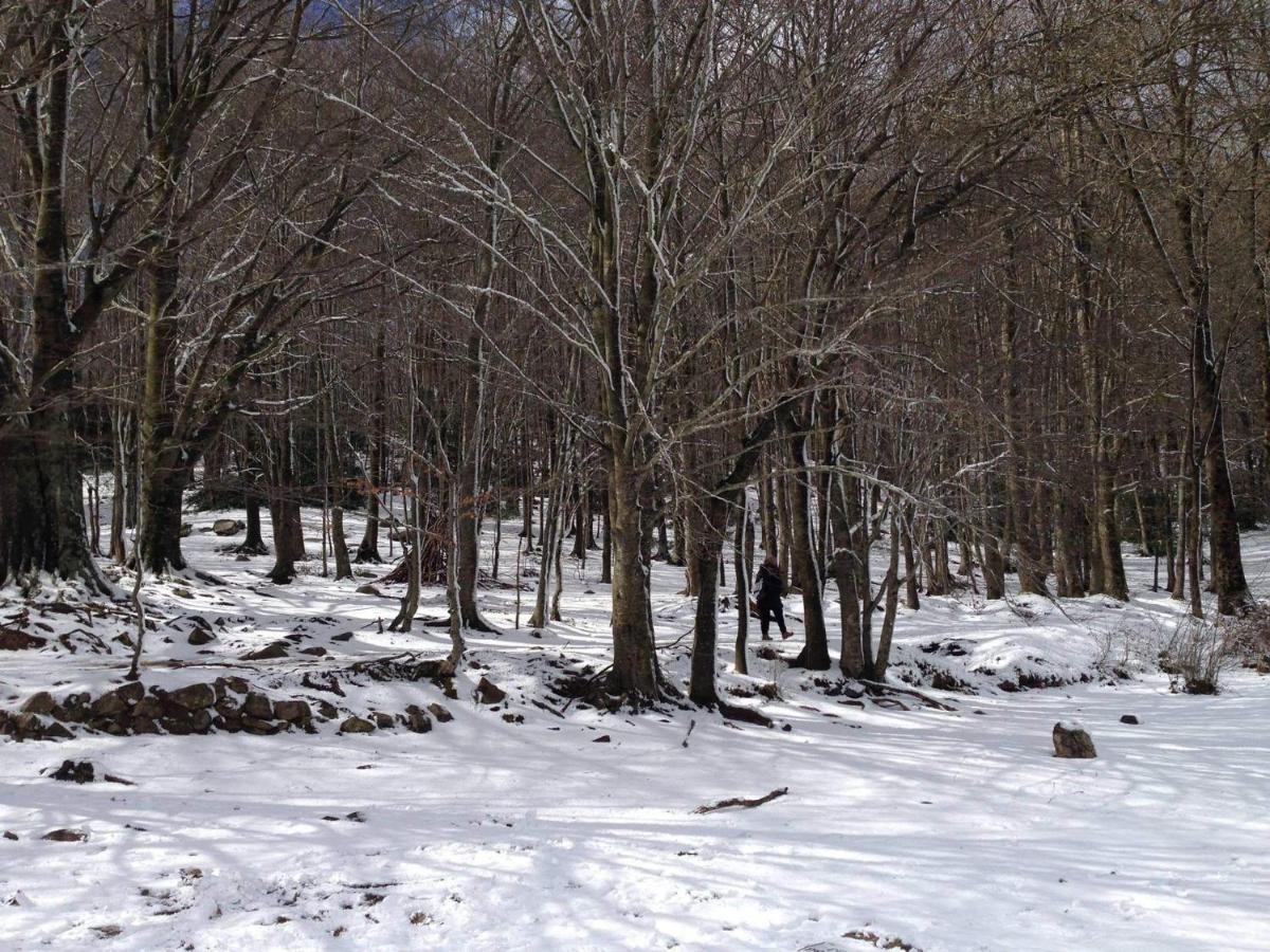 Apartaments Rural Montseny Gualba de Dalt Esterno foto